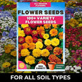 Varieties of Flower Seeds (Pack of 100) + Plant Growth Supplement Free!!